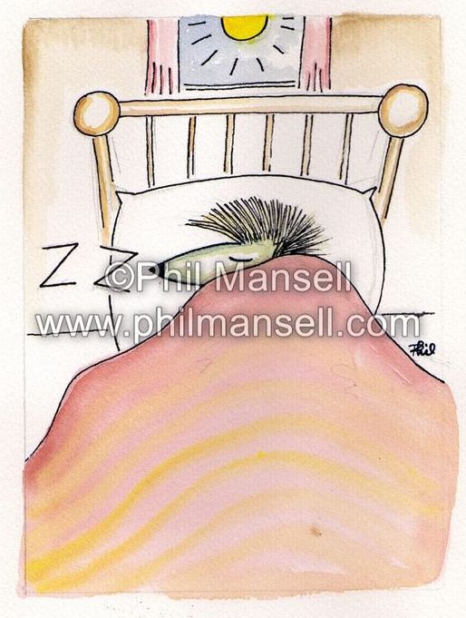 'Sleepy Hedgehog' by Phil Mansell